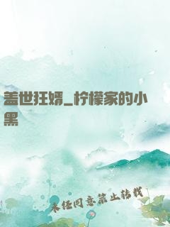 盖世狂婿