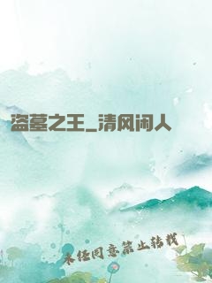 盗墓之王