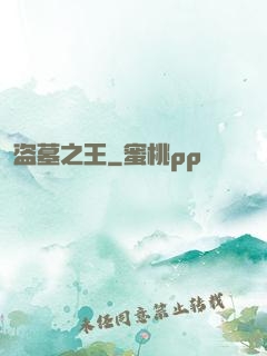 盗墓之王