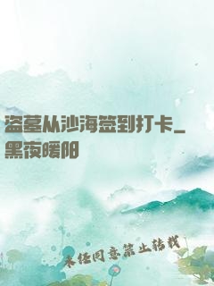 盗墓从沙海签到打卡