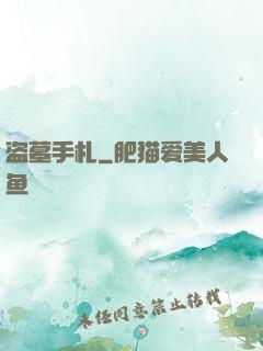 盗墓手札