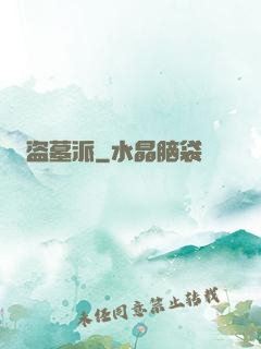 盗墓派