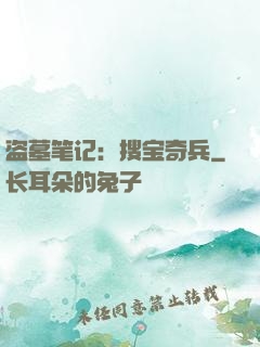 盗墓笔记：搜宝奇兵
