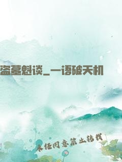 盗墓魁谈