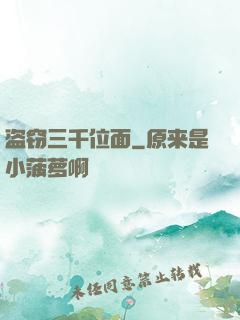 盗窃三千位面