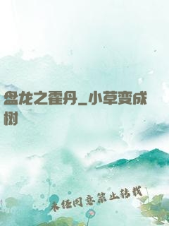 盘龙之霍丹