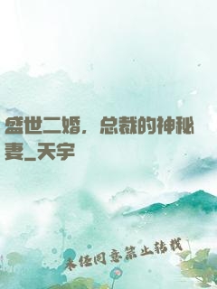 盛世二婚，总裁的神秘妻