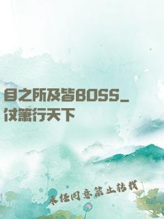 目之所及皆BOSS