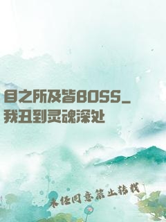 目之所及皆BOSS