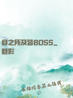 目之所及皆BOSS