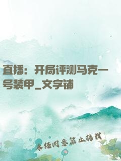 直播：开局评测马克一号装甲