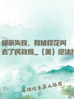 相亲失败，我被校花叫去了民政局