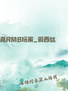 真RMB玩家