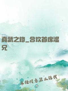 真武之路