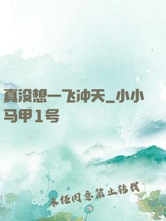 真没想一飞冲天
