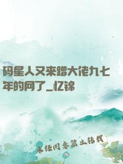 码星人又来蹭大佬九七年的网了