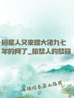 码星人又来蹭大佬九七年的网了