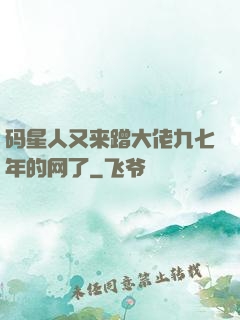 码星人又来蹭大佬九七年的网了