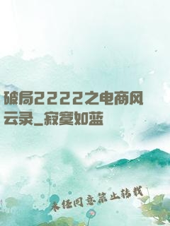 破局2222之电商风云录