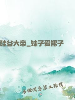 硅谷大帝