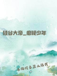 硅谷大帝