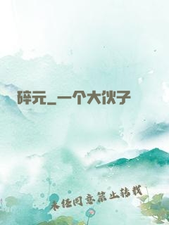 碎元
