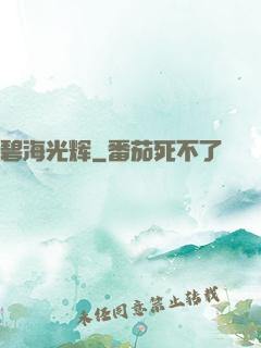 碧海光辉