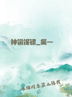 神偷保镖