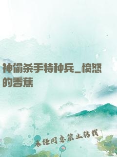 神偷杀手特种兵