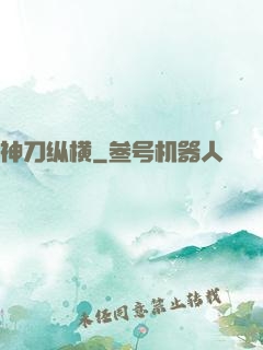神刀纵横