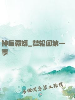 神医霸婿