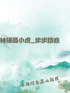 神捕聂小虎