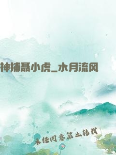 神捕聂小虎