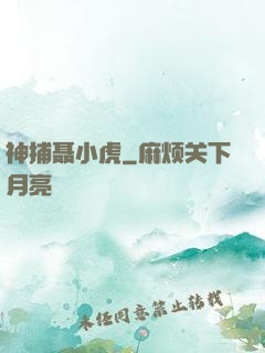 神捕聂小虎