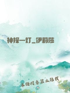 神探一灯