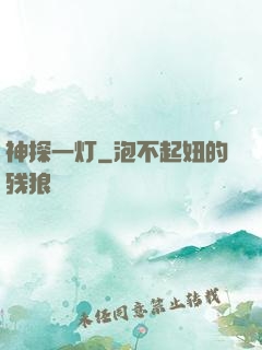 神探一灯