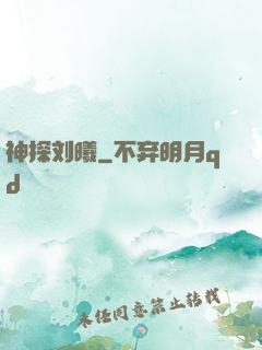 神探刘曦