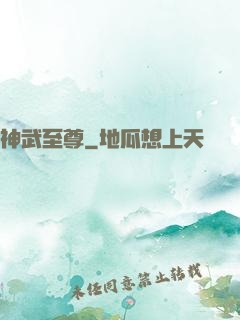 神武至尊