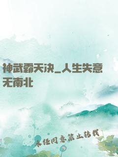 神武霸天决