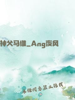 神父马维