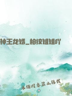 神王龙婿