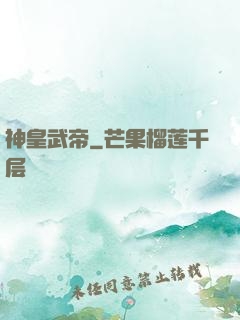 神皇武帝
