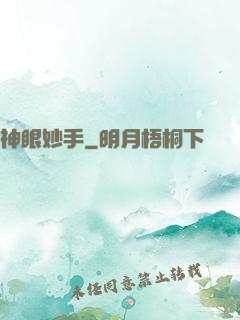 神眼妙手