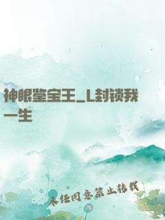 神眼鉴宝王