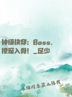 神级快穿：Boss，撩宠入骨！