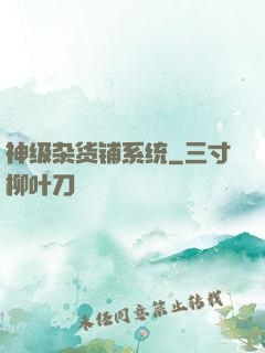 神级杂货铺系统