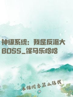 神级系统：我是反派大BOSS