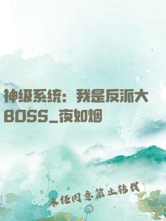 神级系统：我是反派大BOSS