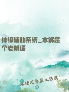 神级辅助系统