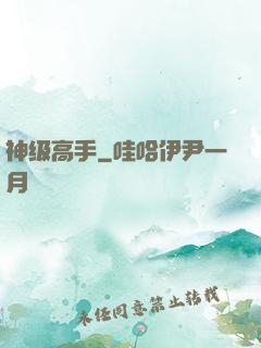 神级高手